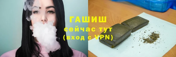 индика Нягань