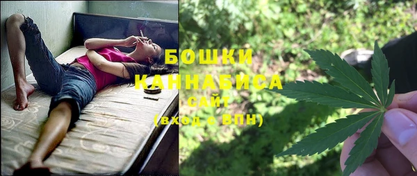 МДПВ Осташков