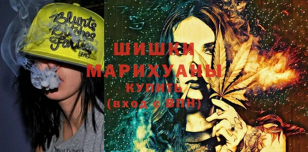 гидра Алексин