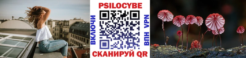 Галлюциногенные грибы Cubensis  Чистополь 