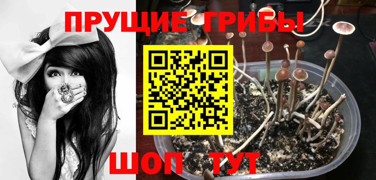 Чистополь  Галлюциногенные грибы мухоморы  Псилоцибиновые грибы Magic Shrooms  Вход с VPN 